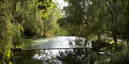 Spildevandsplan - resume